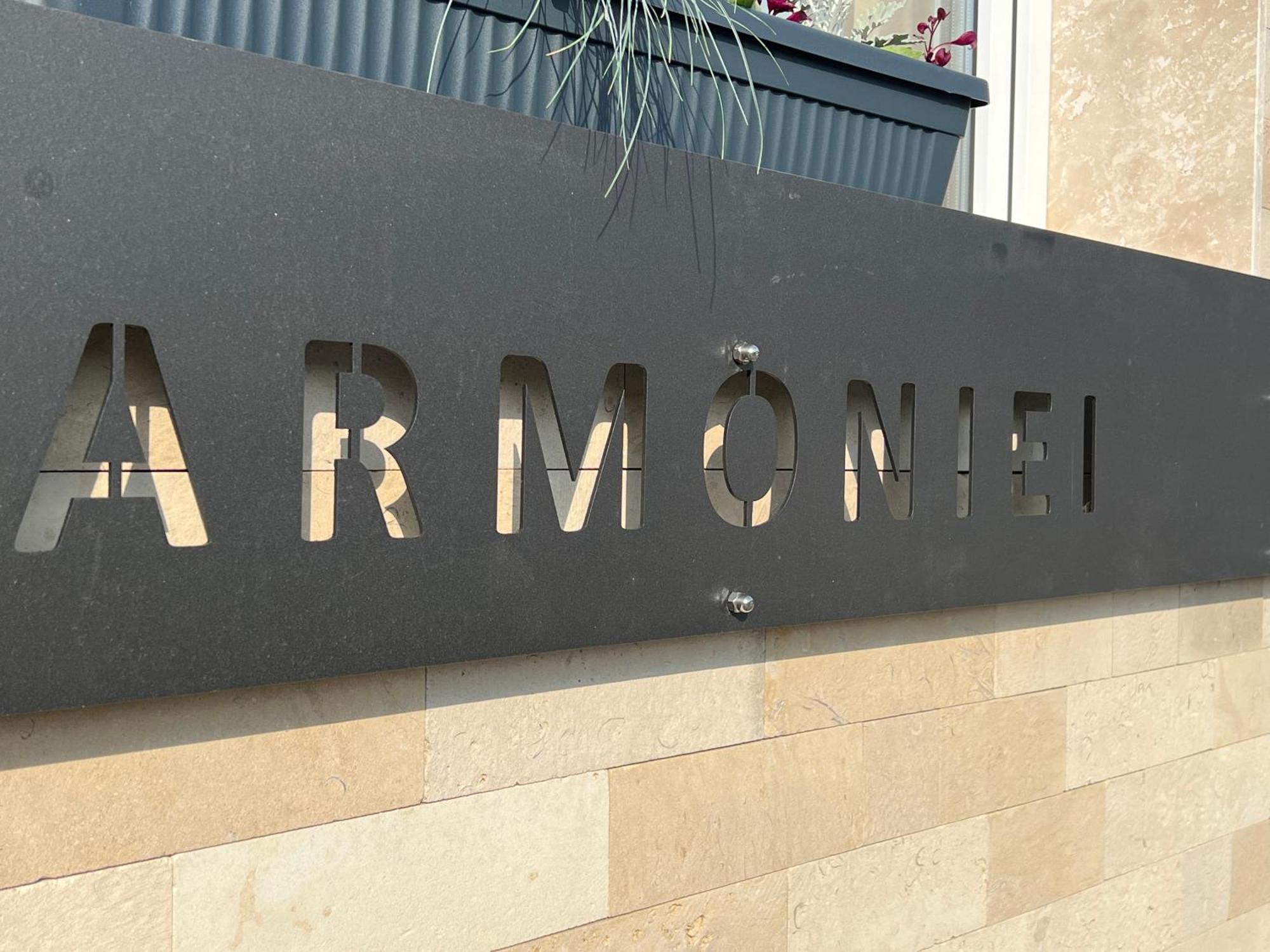 巴亚马雷 Casa Armoniei酒店 外观 照片